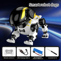 Charging Intelligent Remote Control Toy Multi-function Robot Rc Walking Dog 2.4GHz 360 Rotating Changeable Robot Dog RC Car Toys